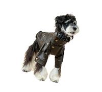 Windproof Puppies Jackets Motorcycle Styles Dog Leather Coat Easy to Wear for Daily Strolls and Weekends Getaways Warm Coat Jackets