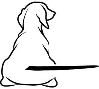 Windscreen Car Sticker, Dog Wiper Sticker Moving Tail, Reflective Decals for Rear Vehicle Wipers, Reflective Car Window Wiper Decals for Rear Vehicle Wipers