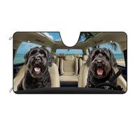 Windscreen Cover Black Russian Terrier Dog On The Beach M