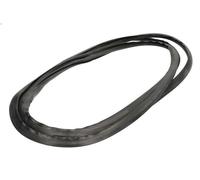 Windscreen gaske BLIC 5703-04-6037336Q for FORD FIESTA IV (JA_, JB_) 1 1996-1999