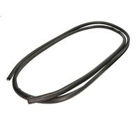 Windscreen gaske BLIC 5703-04-6037390Q for FORD TRANSIT Bus (T_ _) 2 1985-1992