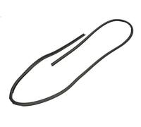 Windscreen gasket BLIC 5703-04-6037065Q for BMW 3 (E46) 2 1998-2001