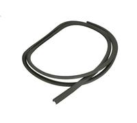 Windscreen gasket BLIC 5703-04-6037858Q for DAF LF 55 3.92 2001-2006