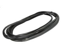 Windscreen trim BLIC 5703-04-6037550Q for DAF XF 105 12.903 2005-