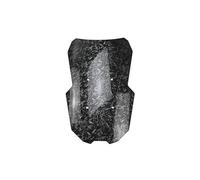 Windshield Motorcycle Windscreen Deflectors For ADV 160 Extention Cover Parts Front Screen Wind Spoiler Guard Protector Baffle Extension Screen(Forged Carbon Look)