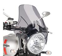 Windshield Puig Plus compatible with Kawasaki Z 900/650 RS light smoke