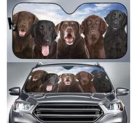 Windshield Sun Shade Funny Flat-Coated Retriever Dog Family Blue Sky S