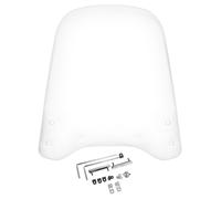 Windshield TNT with universal bracket, transparent