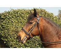 Windsor Equestrian Horses Hunter Bridle