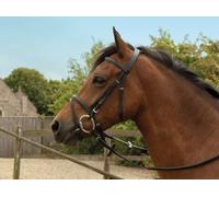 Windsor Equestrian Leather Bridle With Flash Noseband - Shetland - Black