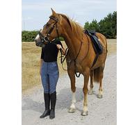 Windsor Equestrian Leather Running Martingale (Pony, Black)