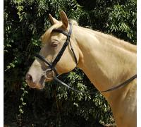 Windsor Leather Bridle Plain Cob Black