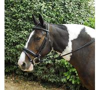 Windsor Leather Comfort Horse Pony Snaffle Bridle, Flash Noseband Pony, Black