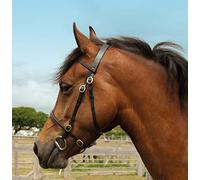 Windsor Leather In-Hand Horse Bridle Cob, Havana