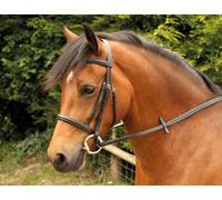 Windsor Leather Snaffle Cavesson Bridle With Reins, In Havana Brown Pony, Havana