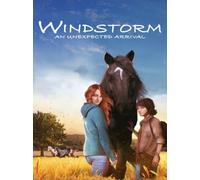 Windstorm: An Unexpected Arrival (PC) - Steam Key - GLOBAL