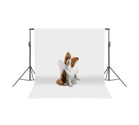 WindWilder Background Stand - 118" Adjustable Height & Length Photo Studio Stand with 6 Clips & Elastic Ropes for Portrait/Product/Wedding Photography, Black