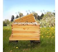 WindWilder Bee Breeding Wooden Box 54.8x23.5x31cm, 5 Frame Bee Incubator for Beekeeping Honey Production