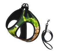 Wine Bottle Corks Grapes Print Small Dog Harness with Leash Set, No Escape Easy Walk Puppy Harnesses for Training Walking