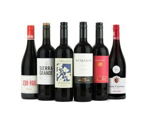 Wine Lover's Red Wine Variety Pack | Case of 6 x 75 ottles | Different Varieties from Around the World