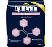 Winergy Equilibrium Condition