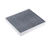 NTY FCF-BM-029C Pollen filter