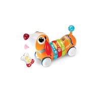WinFun 7301142 Activity and Remote Control, Orange (CPA Toy Group)
