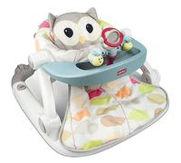 WinFun Sit-to-Walk Activity Centre - Owl