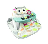 Winfun Sit-to-walk Activity Centre (owl)
