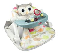 Winfun Sit-to-Walk Activity Centre - Owl