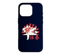 Wing Chun Kung Fu Cool Traditional Martial Arts Cool Fighter Case for iPhone 16 Pro
