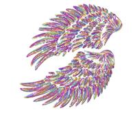 Wing Embroidery Applique - Iron-On Patch Set for Clothing and Accessories, Stylish Decorative Repair Appliques for Jackets Hats Jeans Shirts Hoodies Shoes Dresses Handicrafts DIY Projects