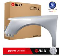 Wing for VW PASSAT B6 LA7W left silver 05-10 front fender painted reflexsilver