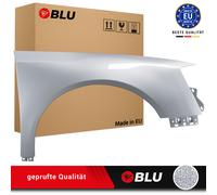 Wing for VW PASSAT B6 LA7W right silver 05-10 front fender painted reflexsilver