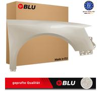 Wing for VW PASSAT B6 LR7L right silver 05-10 front fender painted silverleaf