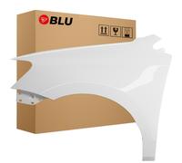 Wing for VW POLO 6R 6C V 5 LC9A left white 09-17 front fender painted pure white