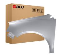 Wing for VW POLO 9N3 IV 4 LA7W left silver 05-09 fender painted ReflexSilber