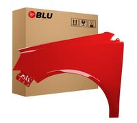 Wing for VW POLO 9N3 IV 4 LP3G left red 05-09 fender painted FlashRot BLU