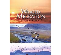 Winged Migration