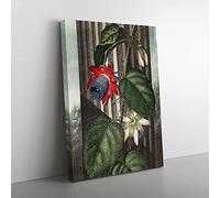 Winged Passion Flower By Robert John Thornton Vintage Canvas Wall Art Print Ready to Hang, Framed Picture for Living Room Bedroom Home Office Décor, 60x40 cm (24x16 Inch)