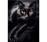 Wingkin Cross Stitch Kits for Adults Black cat 11CT Printed Cross-Stitch Kit,DIY Beginner Stamped Embroidery Kits Wall Art Home Decoration （16 ×20 Inch）