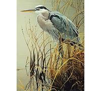 Wingkin Cross Stitch Kits for Adults Blue Heron 11CT Printed Cross-Stitch Kit,DIY Beginner Stamped Embroidery Kits Wall Art Home Decoration （16 ×20 Inch）