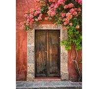 Wingkin Cross Stitch Kits for Adults Front Door Flowers 11CT Printed Cross-Stitch Kit,DIY Beginner Stamped Embroidery Kits Wall Art Home Decoration （16 ×20 Inch）