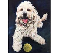 Wingkin Cross Stitch Kits for Adults Golden Doodle Dog 11CT Printed Cross-Stitch Kit,DIY Beginner Stamped Embroidery Kits Wall Art Home Decoration (16 ×20 Inch)