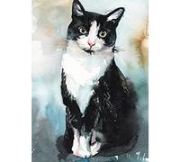 Wingkin Cross Stitch Kits for Adults Tuxedo cat Black cat 11CT Printed Cross-Stitch Kit,DIY Beginner Stamped Embroidery Kits Wall Art Home Decoration （16 ×20 Inch）