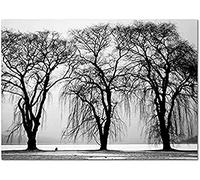 Wingkin Stamped Cross Stitch Kits Black and White Tree 11CT Advanced Pre-Printed Cross-Stitch Pattern Embroidery DIY Beginner Adults Kids Home Decoration （40x50cm）