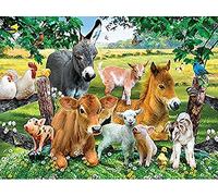 Wingkin Stamped Cross Stitch Kits Country Farm Animals Collection 11CT Advanced Pre-Printed Cross-Stitch Pattern Embroidery DIY Beginner Adults Kids Home Decoration （40x50cm）