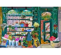 Wingkin Stamped Cross Stitch Kits Flower Shop 11CT Advanced Pre-Printed Cross-Stitch Pattern Embroidery DIY Beginner Adults Kids Home Decoration （40x50cm）