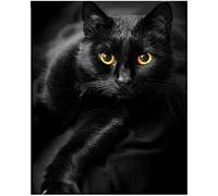 Wingkin Stamped Cross Stitch Kits for Adults Black Cat Animal 11CT Full Range of Embroidery Starter Kit for Beginners DIY Pre-Printed Patterns Starter Kit（16×20 Inch）