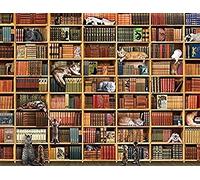 Wingkin Stamped Cross Stitch Kits for Adults Bookshelf cat 11CT Full Range of Embroidery Starter Kit for Beginners DIY Pre-Printed Patterns Starter Kit（16×20 Inch）